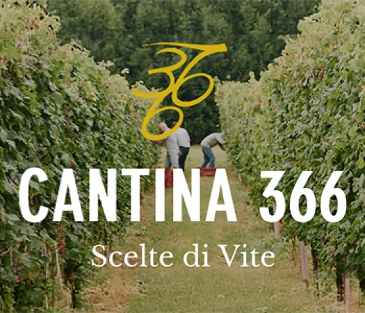Cantina 366